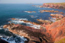 Warey Haven