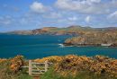 Pwllstrodur