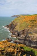 Pen Y Afr