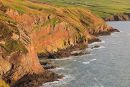 Foel Hendre