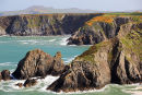 Pwll Whiting