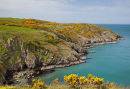 Carregwastad Point