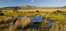 "Gors Fawr" - Stone Circle