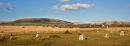 "Gors Fawr" - Stone Circle