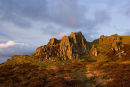 Foeldrygarn