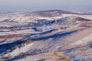 Winter Scene