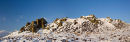 Winter Scene