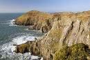 Pen Dinas