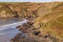 Cwm - Bach
