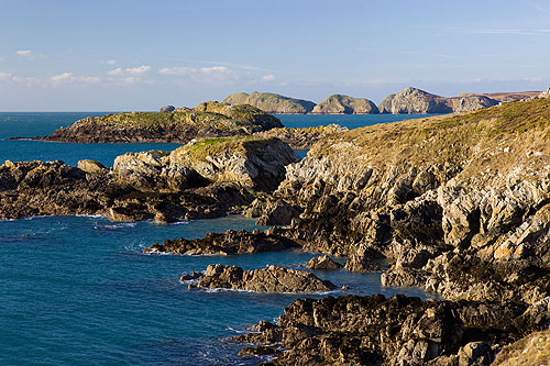 Carreg fran