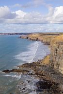 Druidston Chins