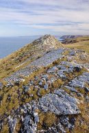 Ridge