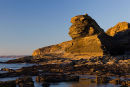 Shag Rock