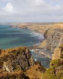 Druidston