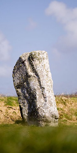 Harold Stone