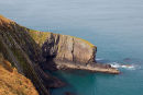 Dinas Head