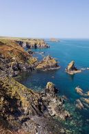 Coast