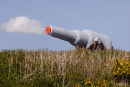 Chapel Bay Fort (Battery) - RML Gun