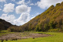 Court Wood