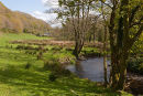 Afon Gwaun