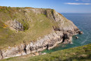 Blowhole