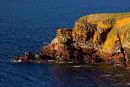 Headland