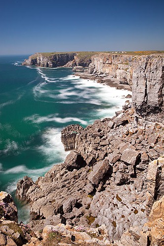 Newton Head