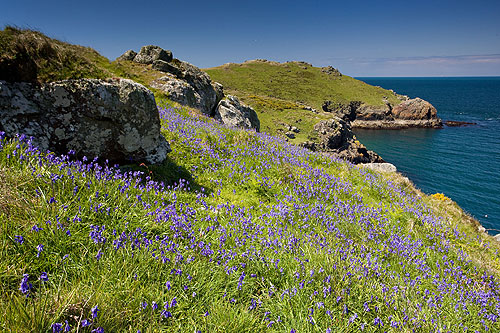 Pembrokeshire Coastal Photography