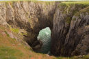 The Cauldron