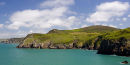Coch Y Ceiliog