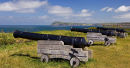 Cannons