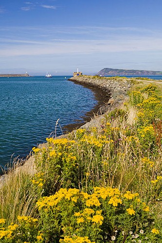 East Breakwater