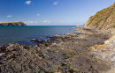 Dinas Island