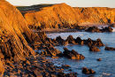 Raggle Rocks