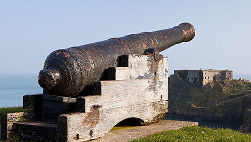 Tenby Cannon