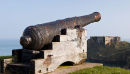Tenby Cannon