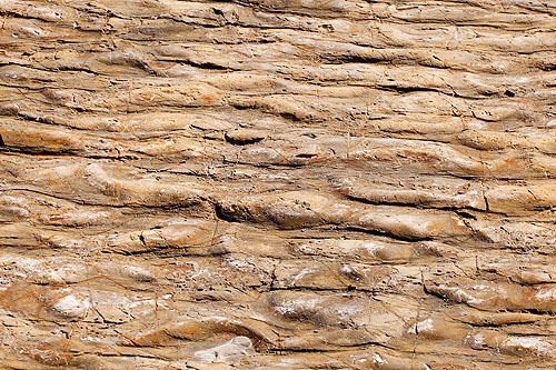 Ripple Marks