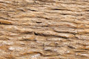 Ripple Marks