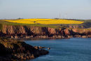 Chester Point