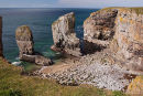 Elegug Stacks