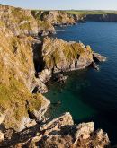 Bay of the Pig