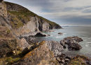 Dinas Island