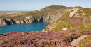 Garn Fawr