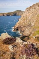 Headland