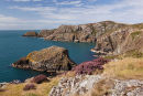 Ynys Ddu