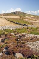 Stone Walls