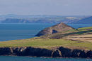 Mwnt