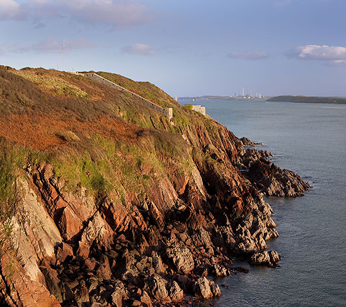 Dale Point