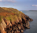 Dale Point