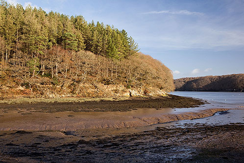 Rooseferry